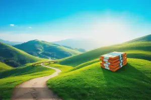 Recovery: 5 Expert Steps to Financial Stability Post-Bankruptcy